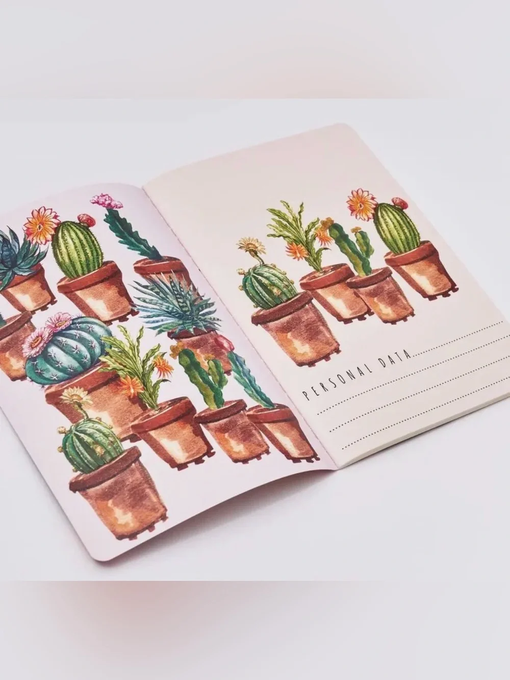 BV by Bruno Visconti A5 Journal Cactus on Rose Gold Foil NEW